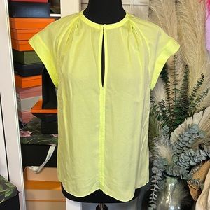 ALC 100% silk blouse